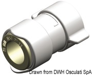 Whale 1/2“ BSP female adapter 6