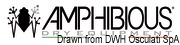 AMPHIBIOUS logo