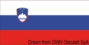 Flaga - Słowenia . 70x100 cm - Kod. 35.441.05 4